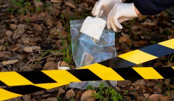 o que é crime doloso